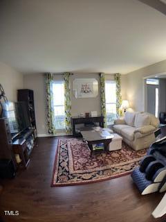 living room featuring wood finished floors