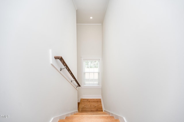 staircase with hardwood / wood-style floors and crown molding