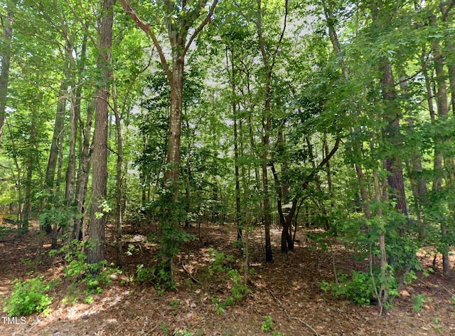 LOT13 Greenvalley Dr, Littleton NC, 27850 land for sale