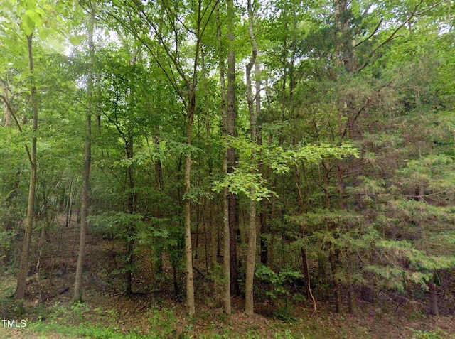 Listing photo 3 for LOT13 Greenvalley Dr, Littleton NC 27850