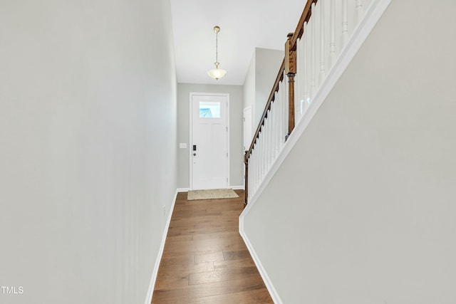 foyer with dark wood-type flooring