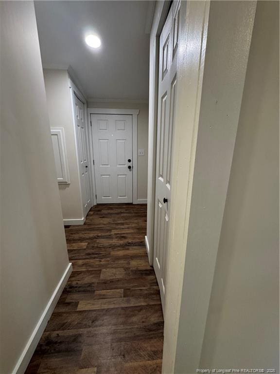 corridor featuring dark hardwood / wood-style floors