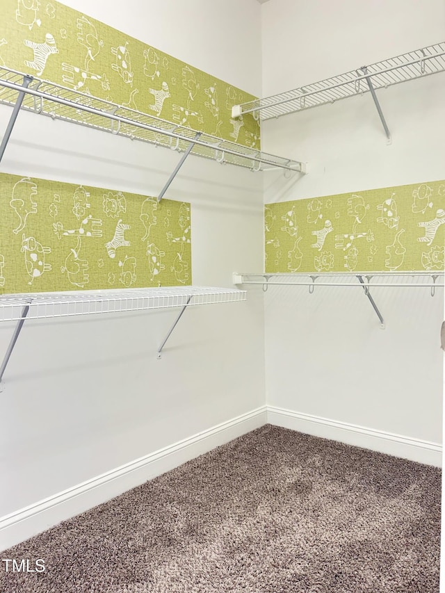 walk in closet with carpet