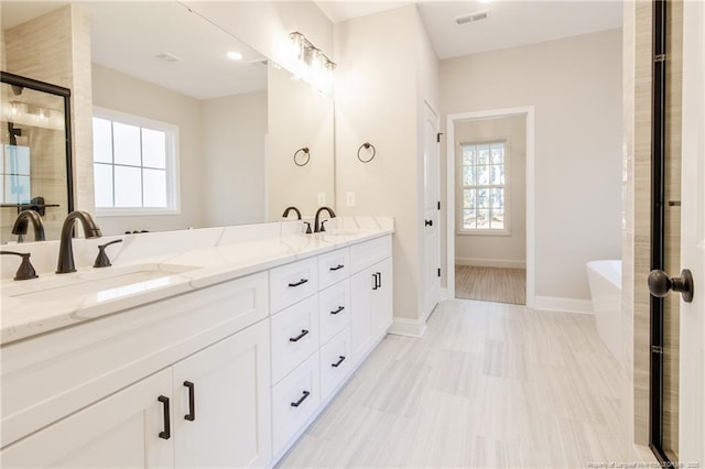 bathroom with separate shower and tub and vanity