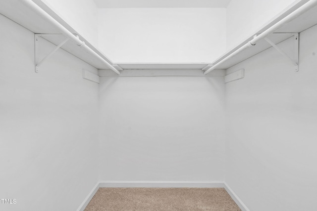 walk in closet featuring carpet flooring