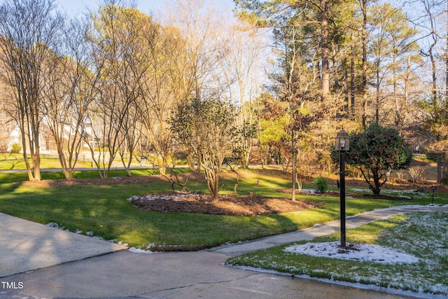 view of home's community with a lawn