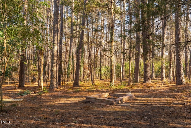 view of local wilderness