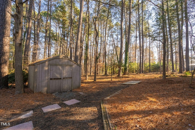 view of yard featuring a storage unit