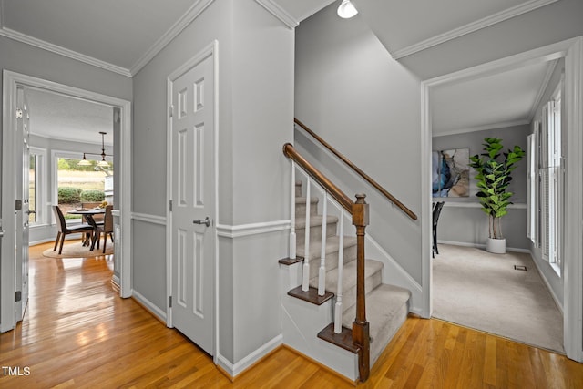 stairs featuring hardwood / wood-style flooring and ornamental molding