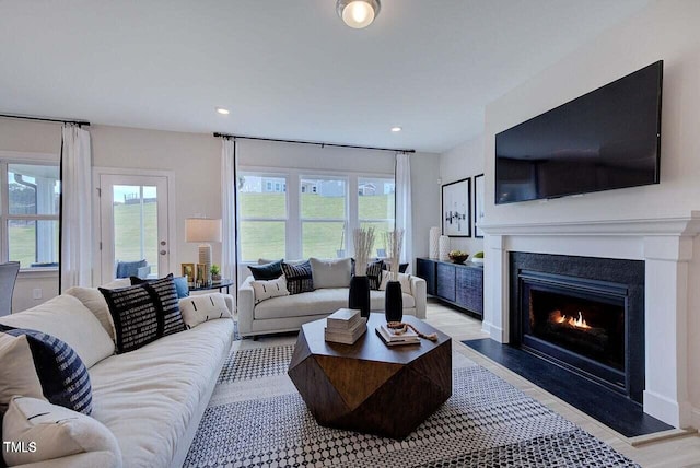 living room featuring light hardwood / wood-style floors