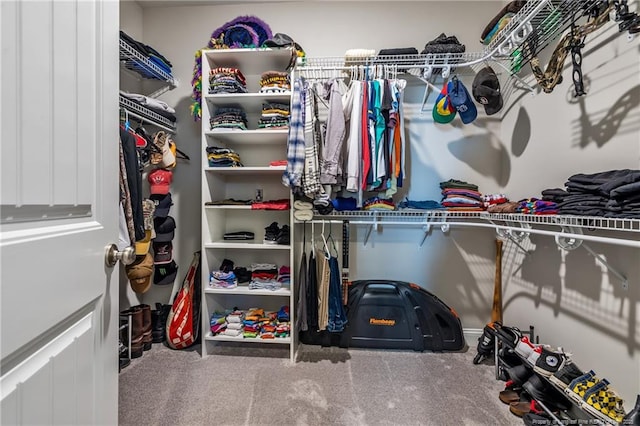 spacious closet featuring carpet floors