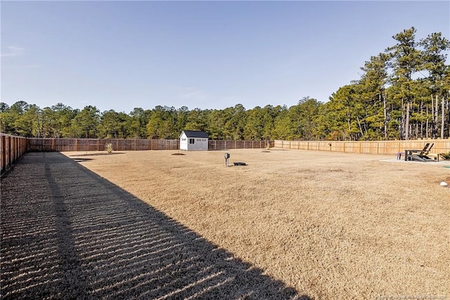 view of yard featuring a storage unit