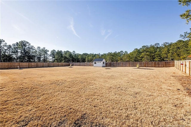 view of yard featuring a storage shed