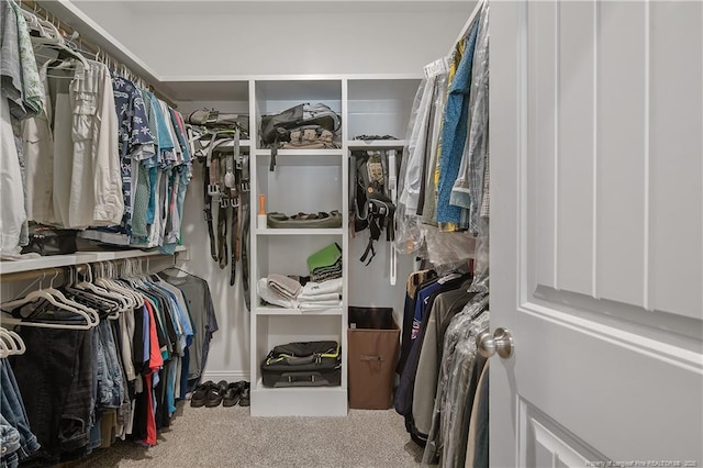 walk in closet with carpet