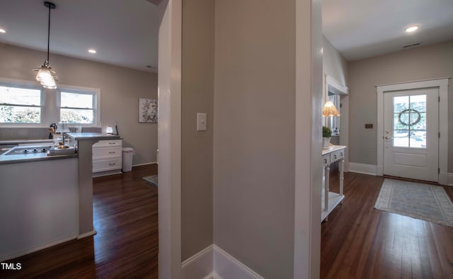 entrance foyer with dark hardwood / wood-style flooring