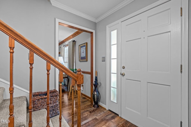 entryway featuring dark wood-type flooring and crown molding