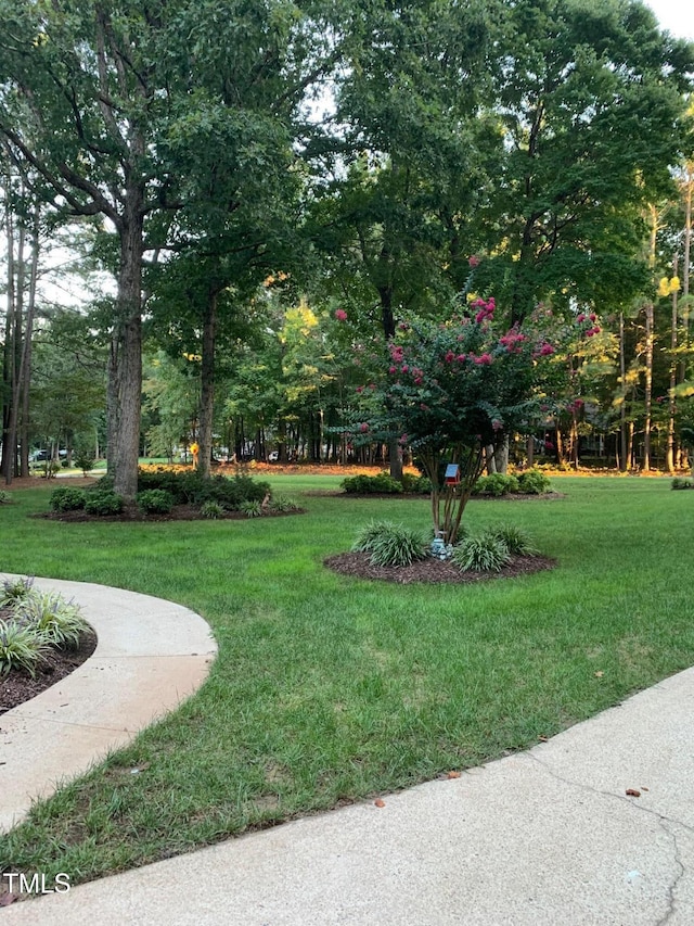 view of property's community with a lawn