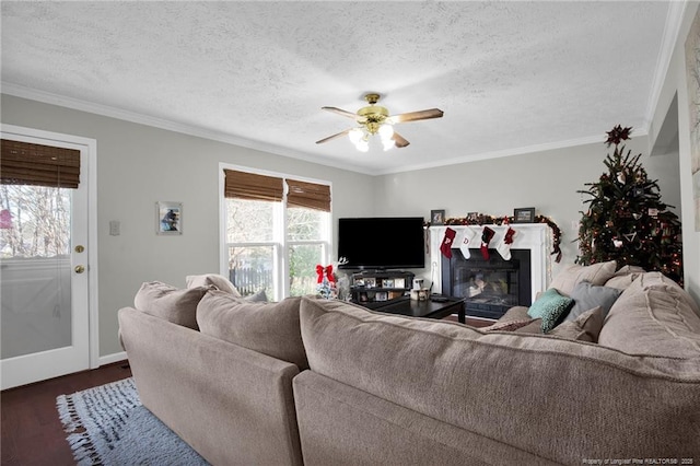 living room featuring ceiling fan, dark wood-type flooring, a textured ceiling, and ornamental molding