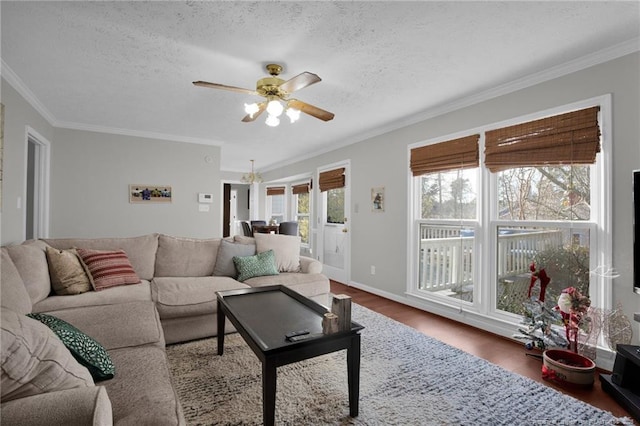 living room with ceiling fan, dark wood-type flooring, a textured ceiling, and ornamental molding