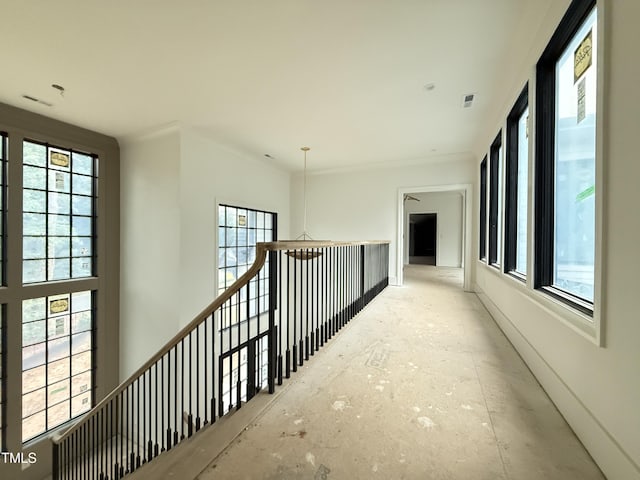 7013 Buckhead Dr, Raleigh, NC 27615 - hallway featuring plenty of natural light