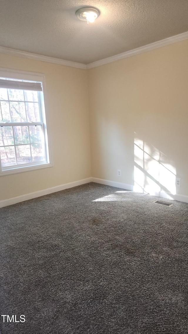 carpeted empty room featuring ornamental molding and a textured ceiling