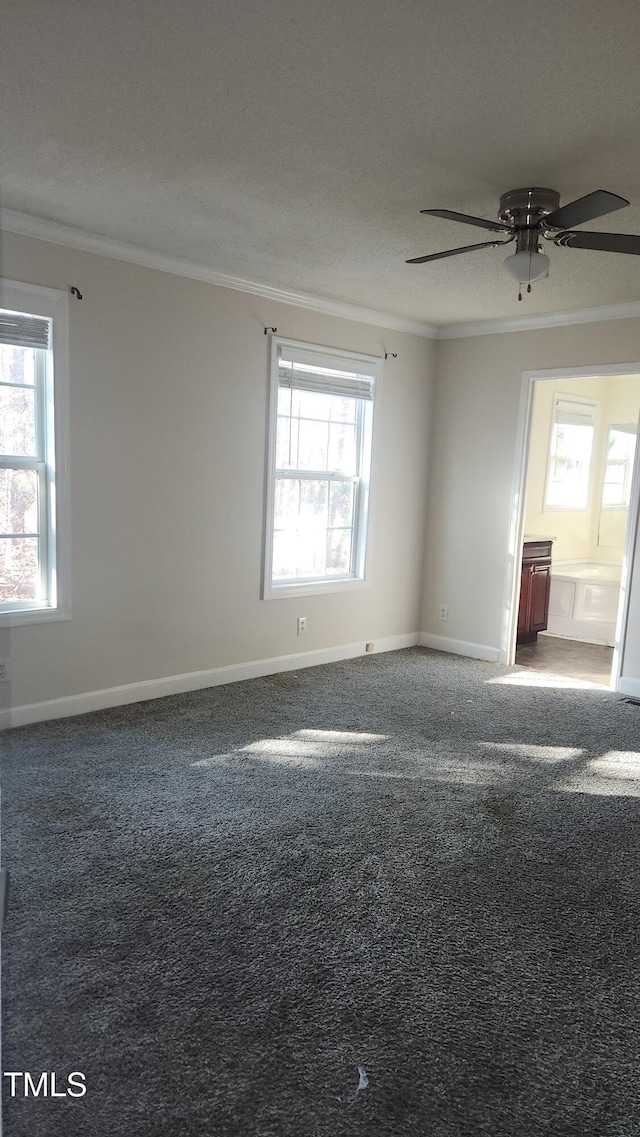 carpeted empty room featuring crown molding and ceiling fan