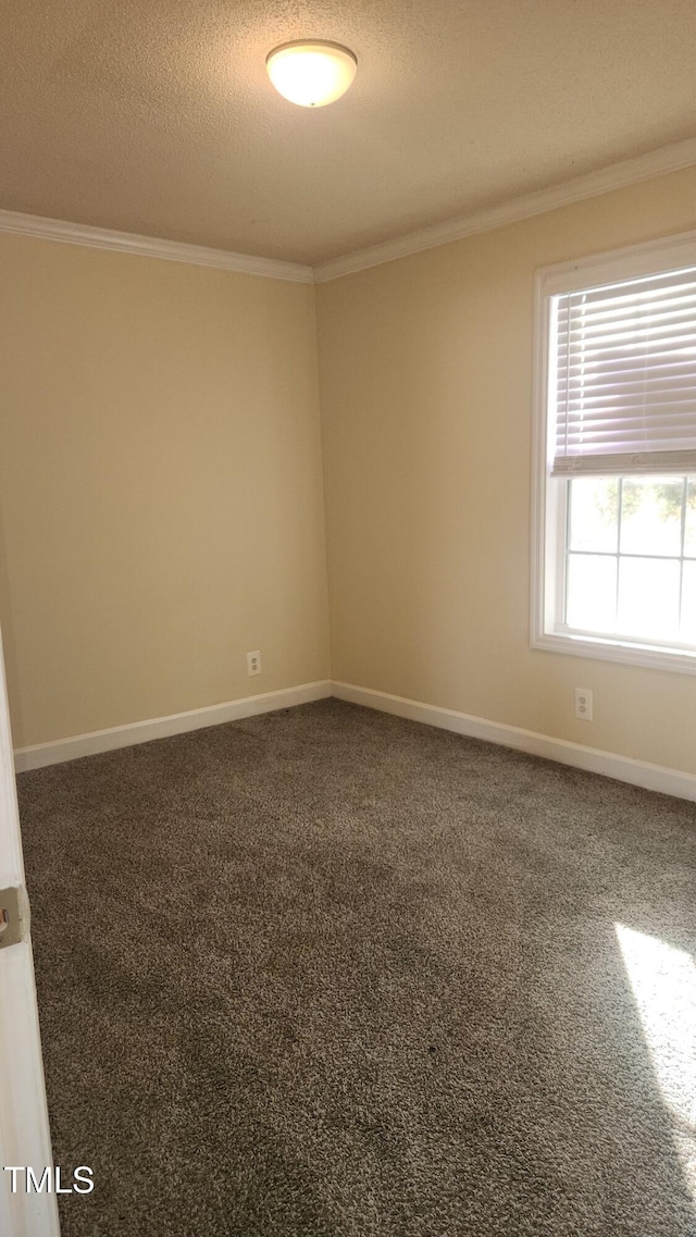 carpeted empty room featuring ornamental molding and a textured ceiling