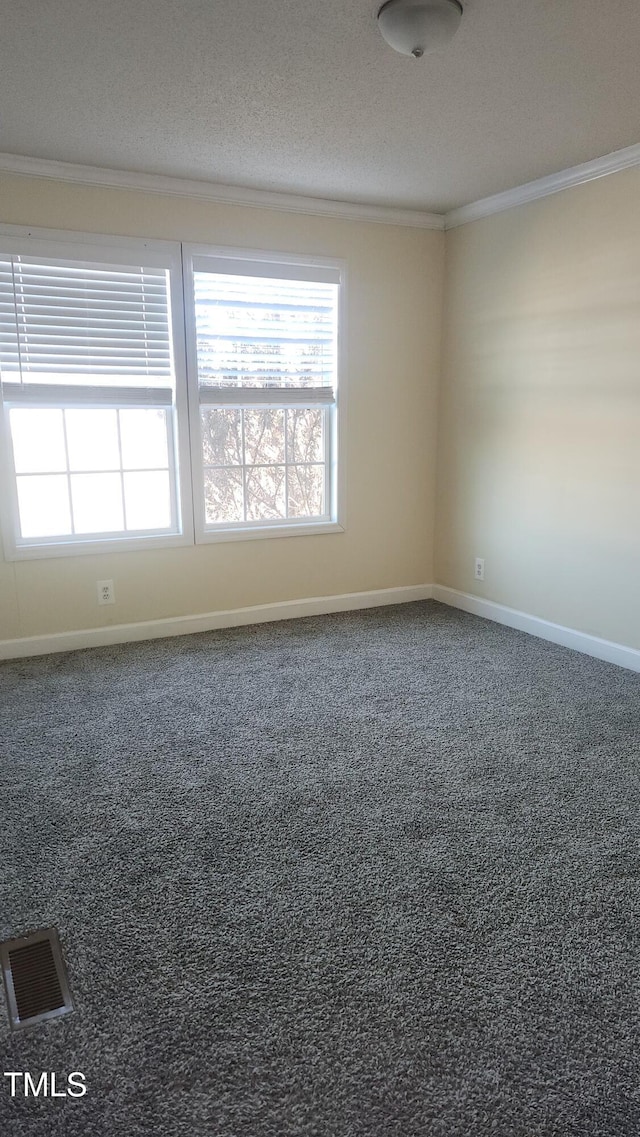 carpeted empty room with crown molding