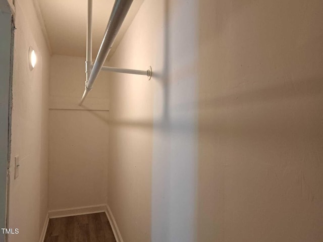 spacious closet featuring hardwood / wood-style floors