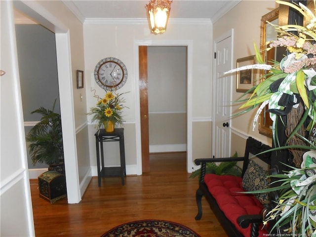 interior space with crown molding and dark hardwood / wood-style floors