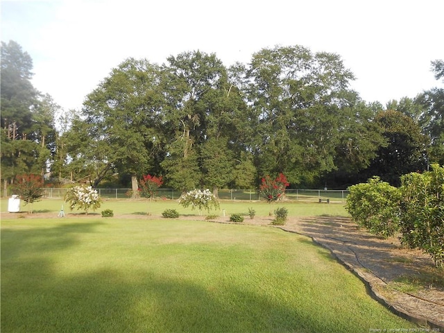52 N Hill Street Rd, Red Springs, NC 28377 - photo 12