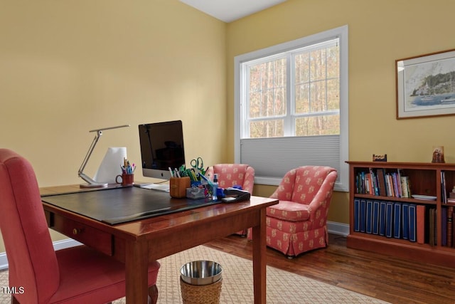 office with wood-type flooring