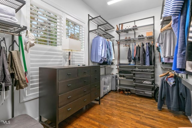 walk in closet featuring dark wood-type flooring