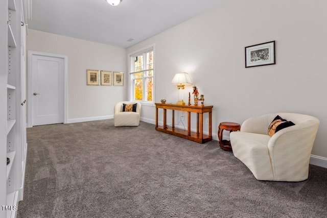 living area featuring carpet flooring