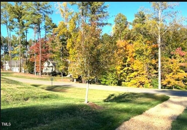 view of community featuring a lawn