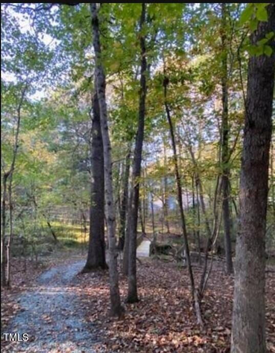 view of local wilderness