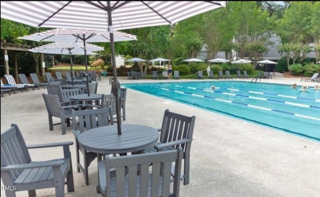 view of swimming pool with a patio area