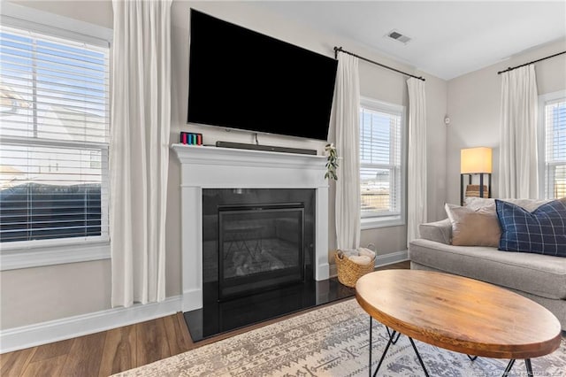 living room featuring hardwood / wood-style flooring