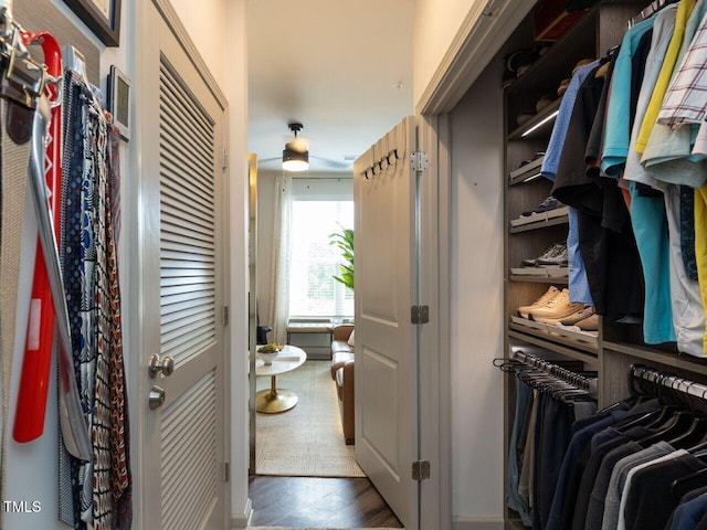 walk in closet with a ceiling fan and wood finished floors