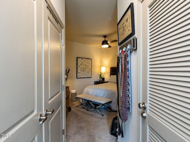 bedroom with carpet flooring