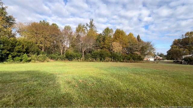 0 Chancellors Ridge Way, Sanford, NC 27330 - photo 5