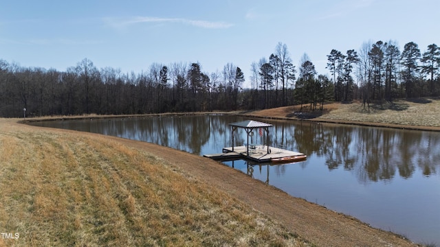 dock area with a water view