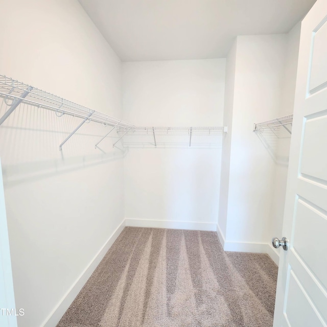 walk in closet featuring carpet