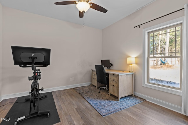 office space with ceiling fan and light wood-type flooring