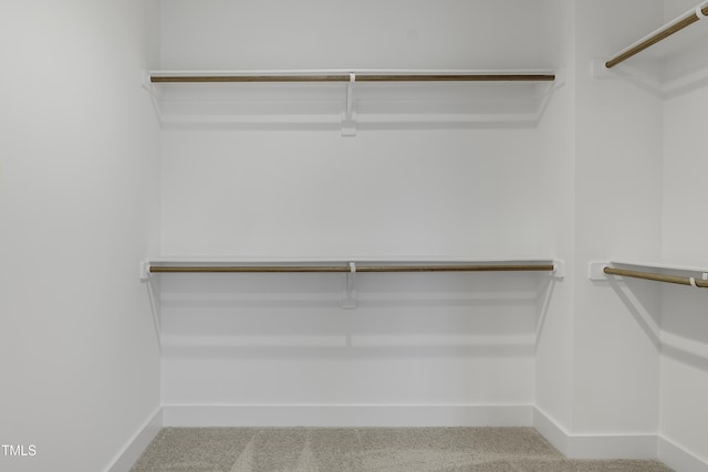 spacious closet with carpet flooring