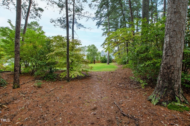 715 Powell Dr, Raleigh, NC 27606 - photo 53