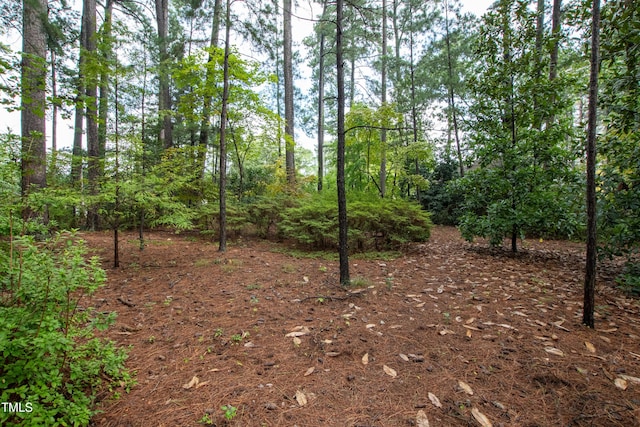 715 Powell Dr, Raleigh, NC 27606 - photo 57