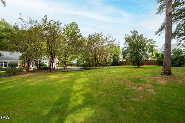 715 Powell Dr, Raleigh, NC 27606 - photo 59