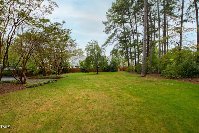 715 Powell Dr, Raleigh, NC 27606 - photo 60