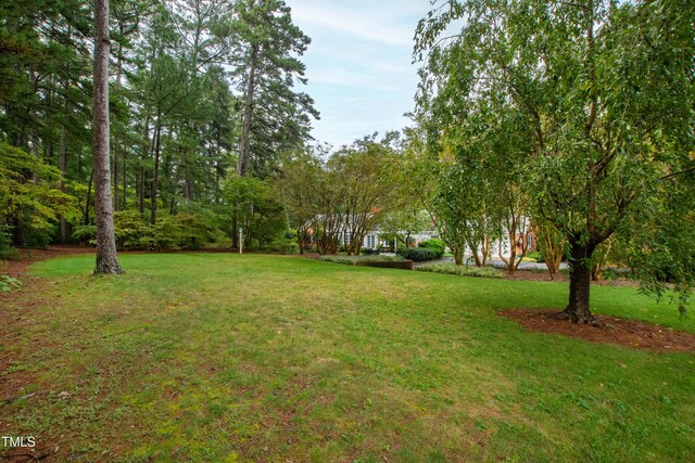 715 Powell Dr, Raleigh, NC 27606 - photo 61